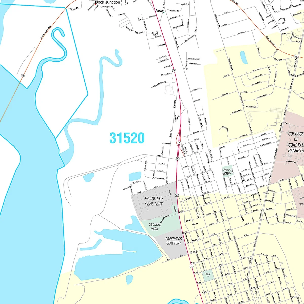 Premium Style Wall Map of Brunswick, GA - Image 3