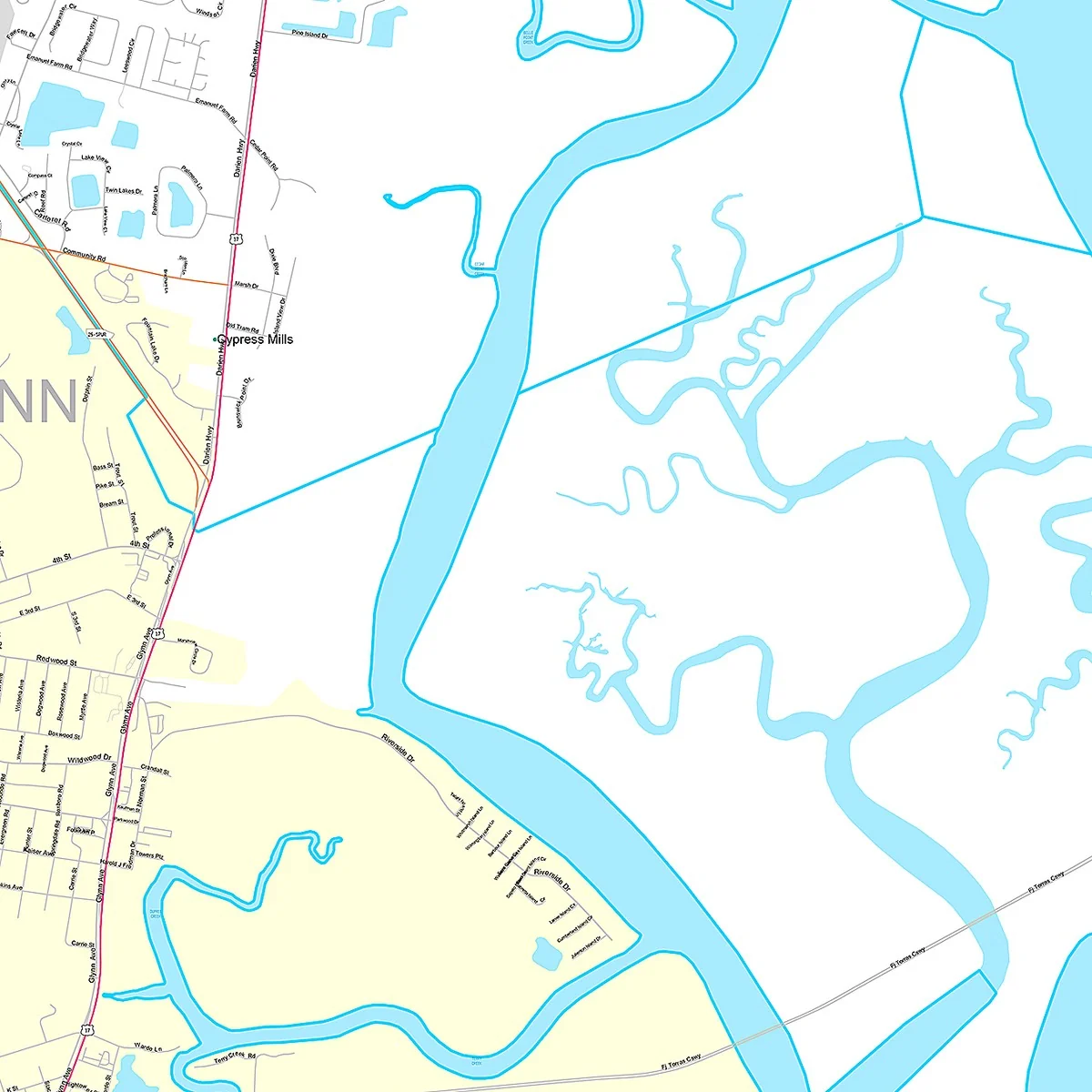 Premium Style Wall Map of Brunswick, GA - Image 4