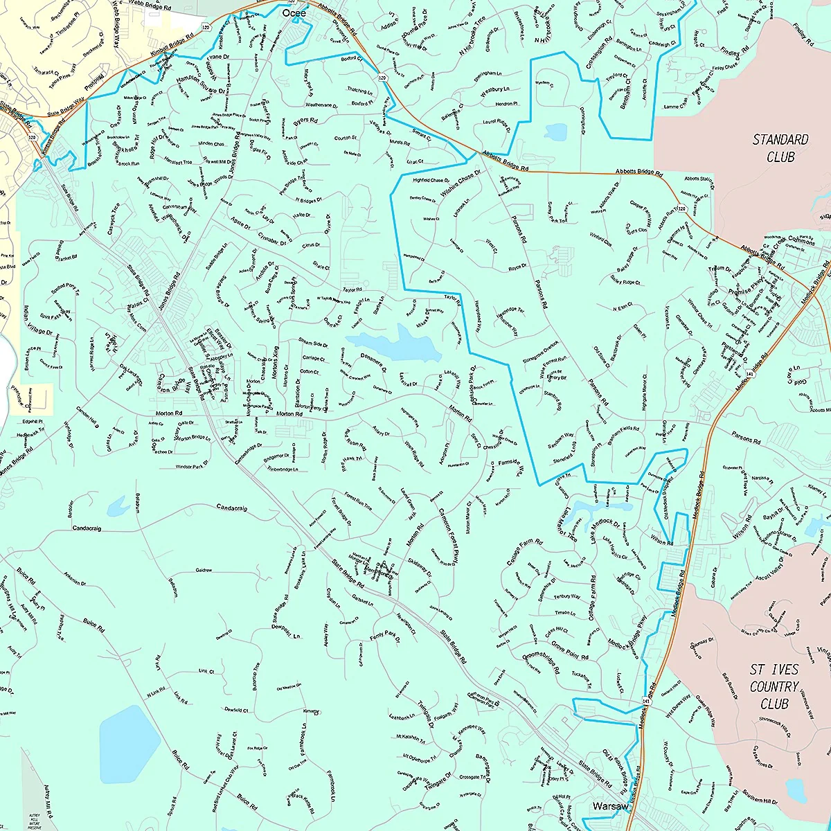 Premium Style Wall Map of Johns Creek, GA - Image 2