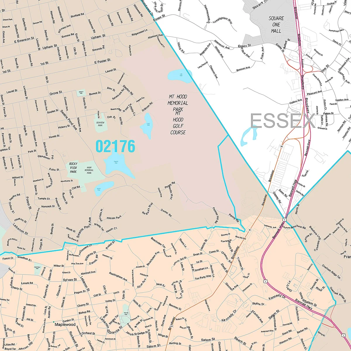 Premium Style Wall Map of Malden, MA - Image 4