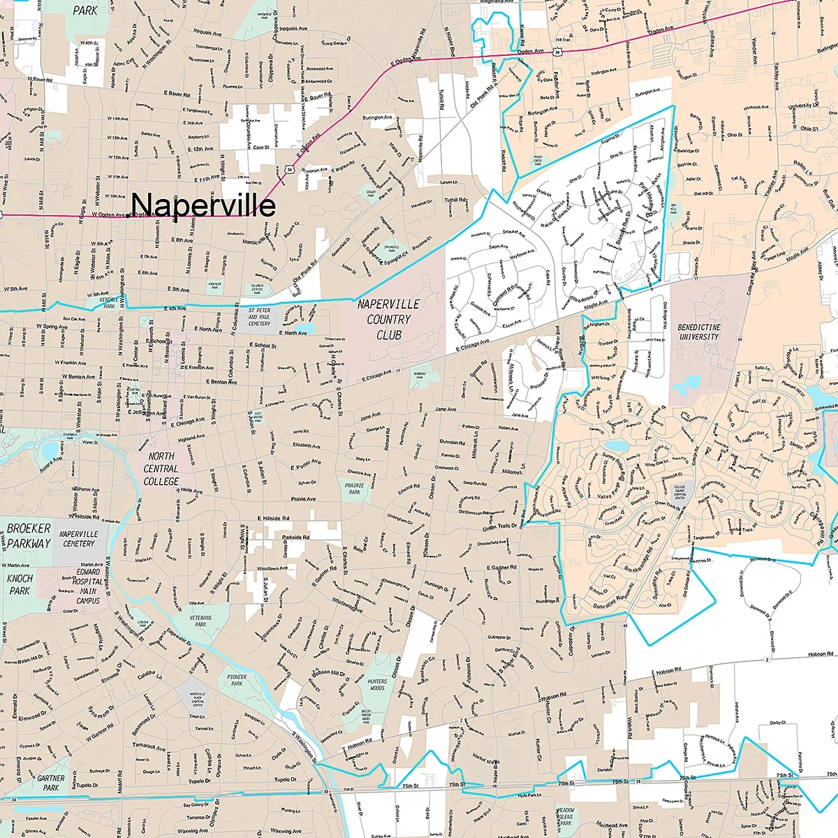 Premium Style Wall Map of Naperville, IL - Image 4