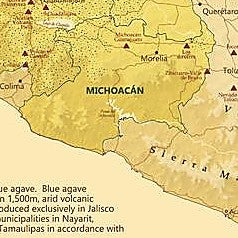 Tequila Map of Mexico - Image 5